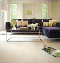 Carpet Court Design Carpets - Internet Find 7