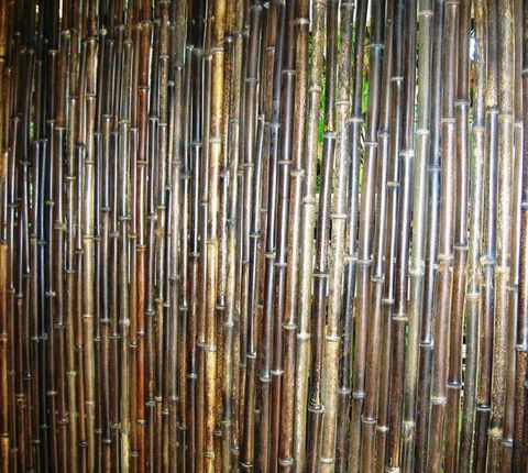 Bamboo Australia Pty Ltd - Internet Find 1