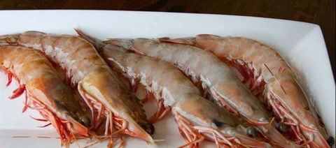 Tapas Tapas Bodega - Internet Find 22