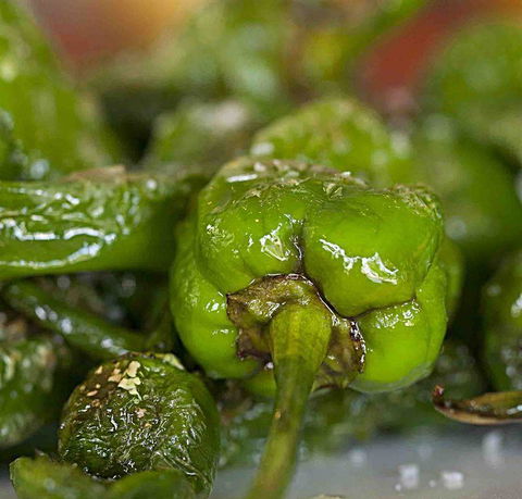 Tapas Tapas Bodega - Internet Find 7