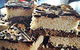 Currency Cafe - thumb 13