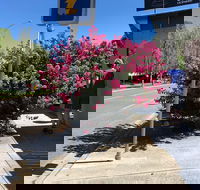 Alpine Gate Cafe - Internet Find