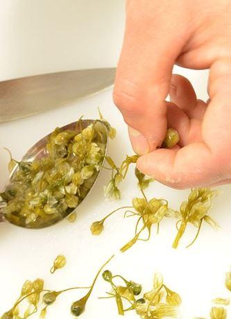 Wild Harvest Restaurant King Island - Internet Find 1