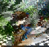 Rivulet Cafe - Internet Find