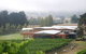 Home Hill Winery Restaurant - thumb 11