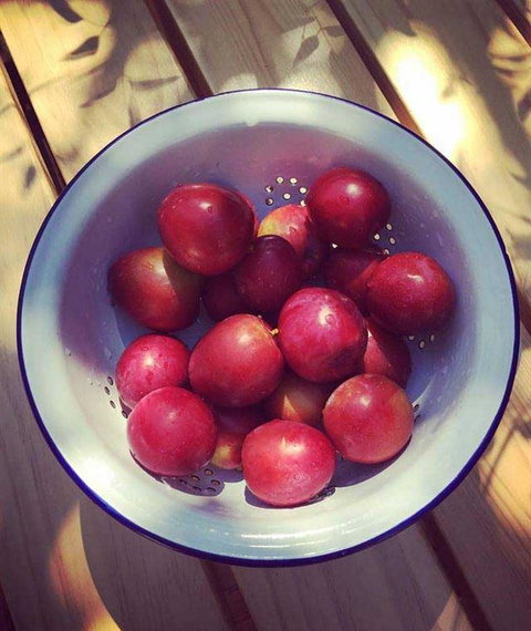 Pipi At Middleton - Internet Find 7