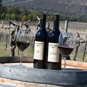 Mount Broke Wines Restaurant - Internet Find 5