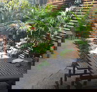 The Garden Plate - Internet Find