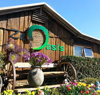 Zen Oasis Vegetarian Restaurant - Internet Find