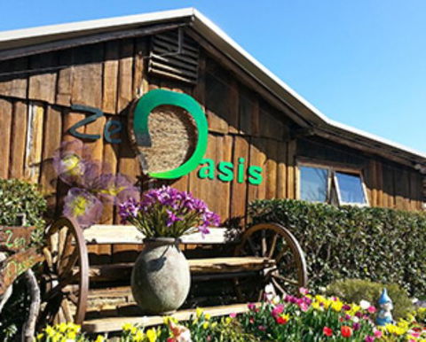 Zen Oasis Vegetarian Restaurant - Internet Find 0