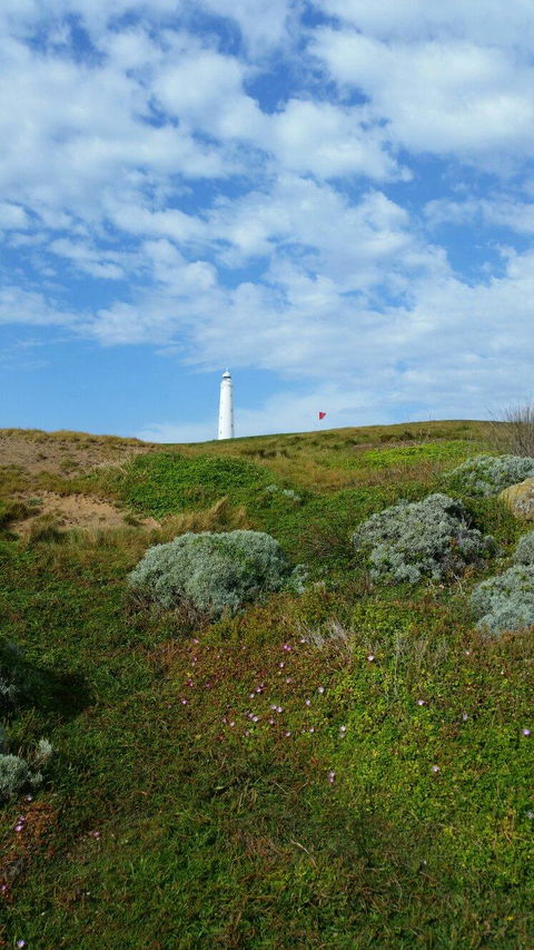 King Island Golf - Internet Find 3