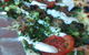Local Pizza - thumb 5