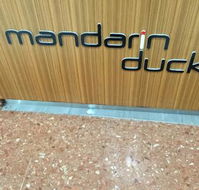 Mandarin Duck - Internet Find