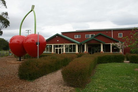 The Cherry Shed - Internet Find 0