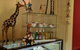 The Hairy Giraffe Cafe - thumb 3