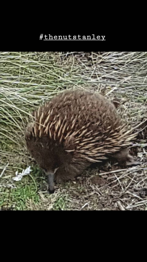 Touchwood Cafe - Internet Find 1