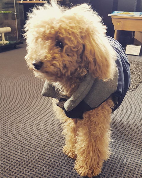 Touchwood Cafe - Internet Find 4