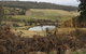 Fat Pig Farm - thumb 0