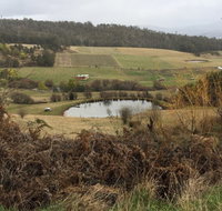Fat Pig Farm - Internet Find