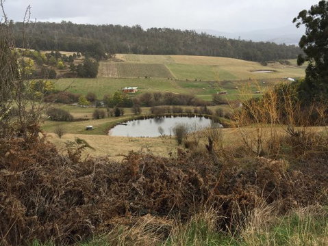 Fat Pig Farm - Internet Find 0