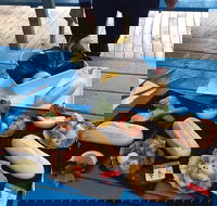Freycinet Marine Farm - Internet Find