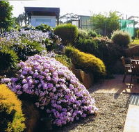 Pipers River Tea House and Crafts - Internet Find