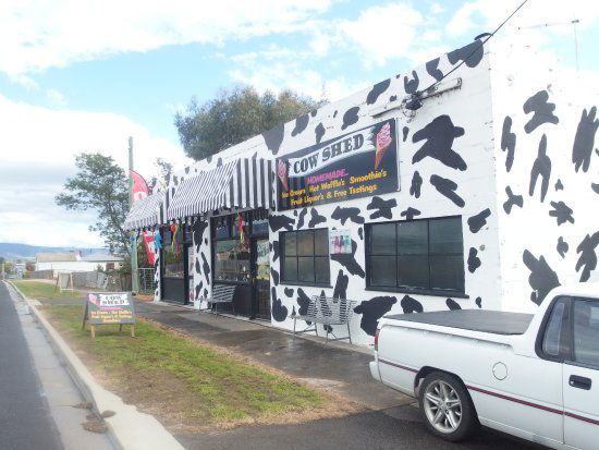 Avoca TAS Internet Find