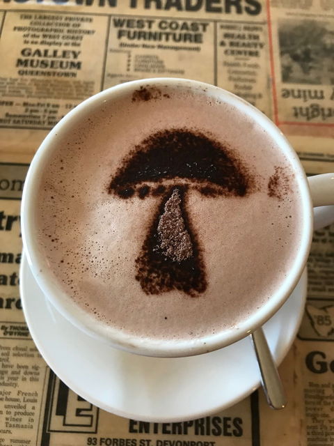 The Mushroom At Waratah - Internet Find 9