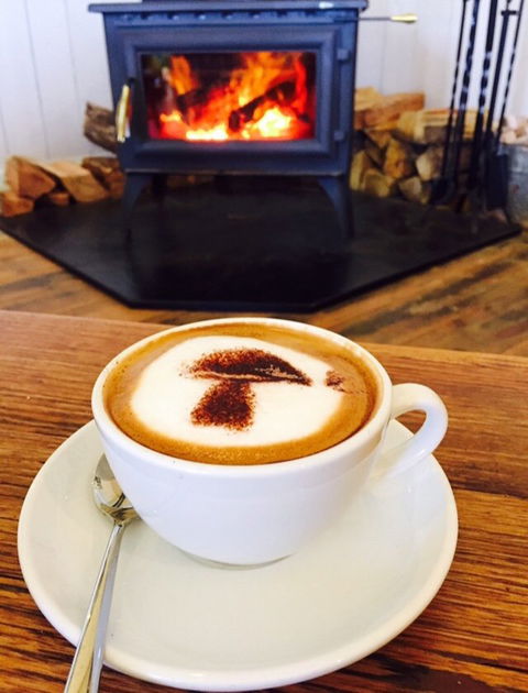 The Mushroom At Waratah - Internet Find 10