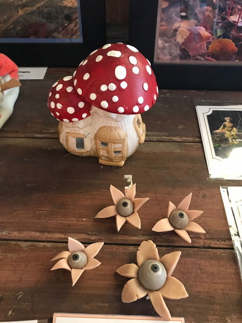 The Mushroom At Waratah - Internet Find 7