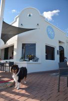 Blue Vue Cafe - Internet Find 6