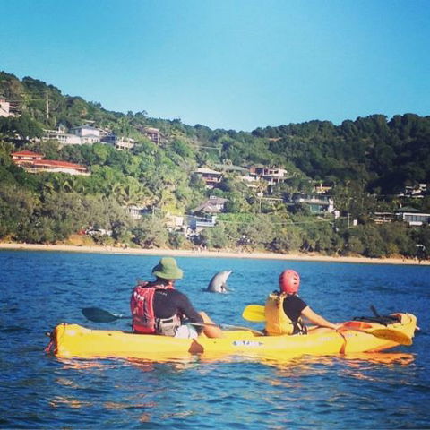 Cape Byron Kayaks - Internet Find 2
