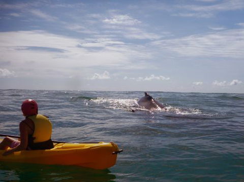 Cape Byron Kayaks - Internet Find 4