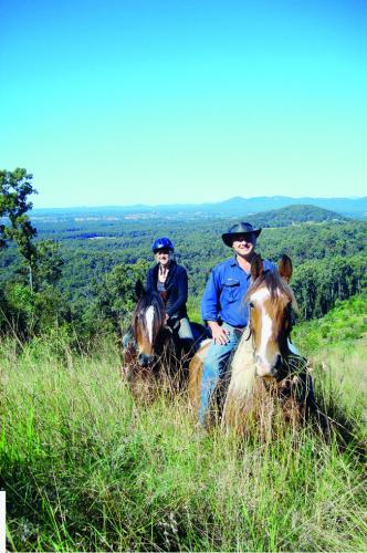 Horse Riding Internet Find