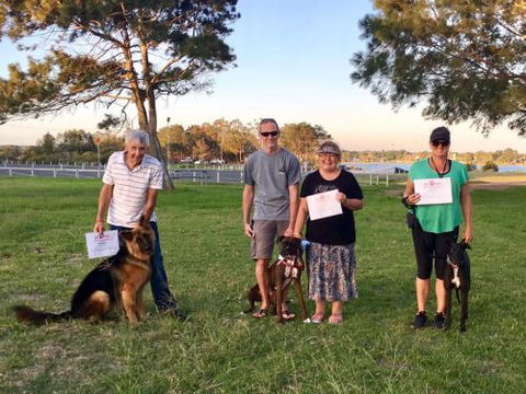 Aloha K9 Services Dog Grooming & Training - Internet Find 4