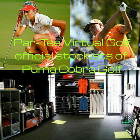 Par–Tee Virtual Golf - Internet Find 3