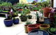 Mitre 10 Woolgoolga - thumb 1
