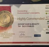 Gossip Hair  Beauty - Internet Find