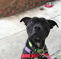 Raymond's Cafe - Internet Find