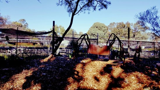 Food Delivery Hazelmere WA Internet Find
