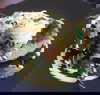 Catalano Co - Internet Find