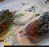 Surfing Lizard Cafe - Internet Find