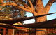 Newbliss Winery - thumb 2