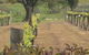 Newbliss Winery - thumb 6