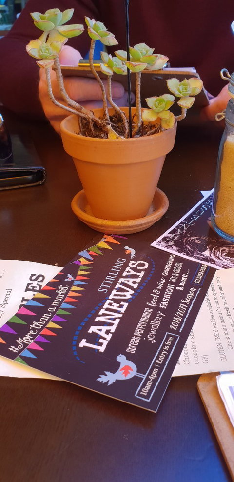 Red Cacao Chocolatier - Internet Find 4