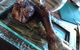 The D'Arenberg Cube Restaurant - thumb 10