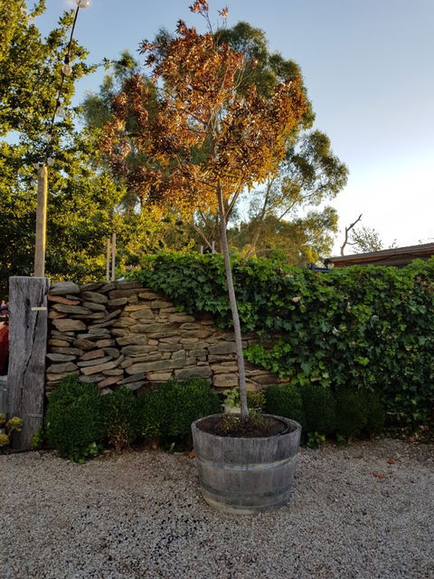 Barristers Block Cellar Door - Internet Find 7