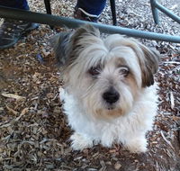 Cinnamon Grove - Internet Find