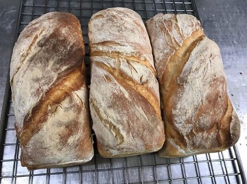 Clare Rise Bakery 1895 - Internet Find 0