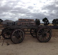 Emu Bay Lavender - Internet Find